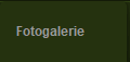 Fotogalerie
