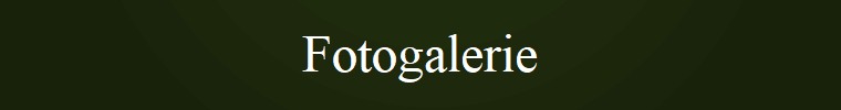 Fotogalerie