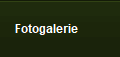 Fotogalerie